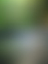 Journey to the Never-Dried-Up Well - A Lent Series