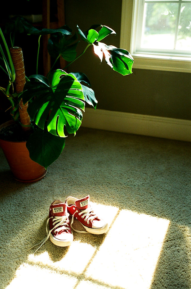 Madison O'Friel, Unsplash