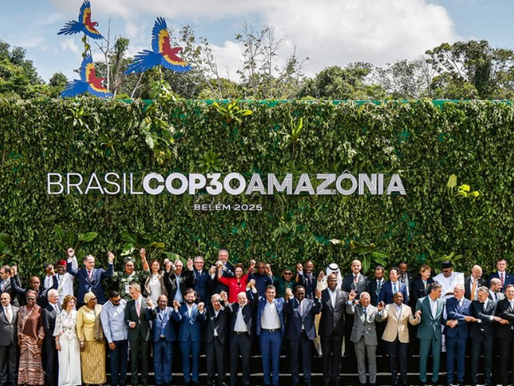 Salud, Industria y Política Sanitaria