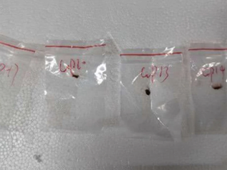 Otra semana en el sector sanitario | Semana #24 - 2025