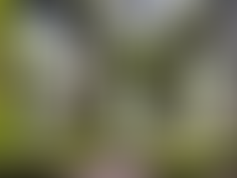 Teach a Course with The International Society of Mythology (ISM)