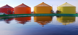 Biogas Plant