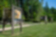 _DSC4189©M.Noëson.jpg