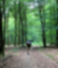 107832973_615011175786845_7843546036409500236_n_edited.jpg