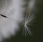 8-GD-Envol-Nature en mouvement.jpeg