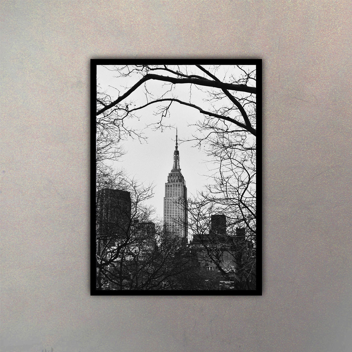 Vista Empire State XL