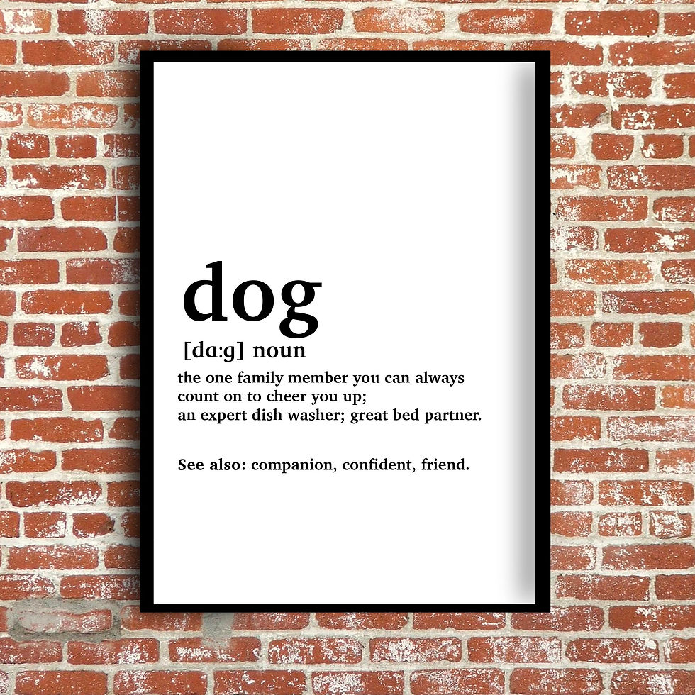 Miniatura: "Dog" Definición Diccionario