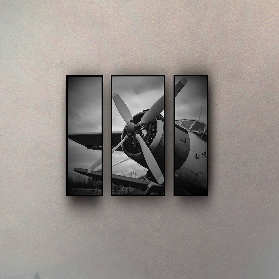 Tríptico Hélice (3 Cuadros)