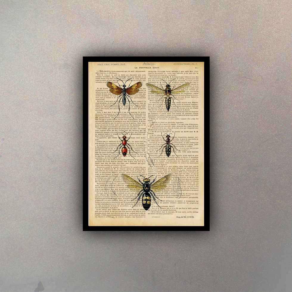 Miniatura: Insectos Fondo Vintage