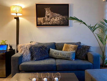Sala de estar acogedora con sofá, cojines y cuadro.