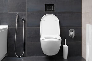 toilet bowl, bidet hygienic