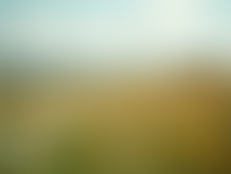 Wide angle view of a tranquil landscape with colorful wildflowers