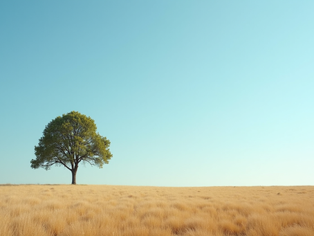 Eye-level view of a single tree standing alone in a vast open field under a clear sky