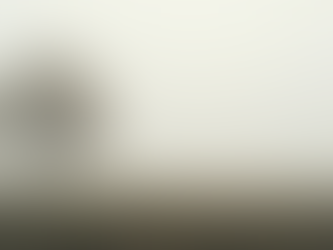 Eye-level view of a serene landscape with a single tree standing tall