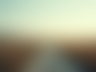 Eye-level view of a serene landscape with a winding path