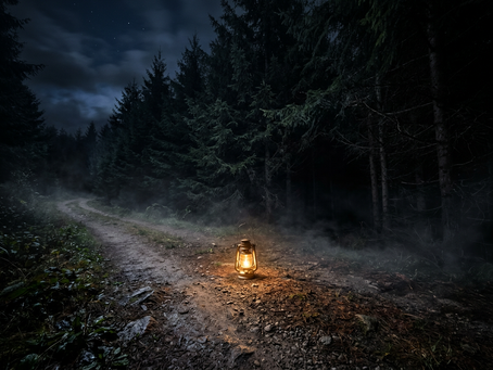 Wide-angle view of a lone lantern glowing beside a dark forest path