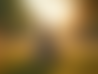 Eye-level view of a person meditating peacefully in a quiet natural setting