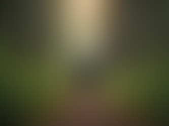 Eye-level view of a person guiding another through a path in a forest