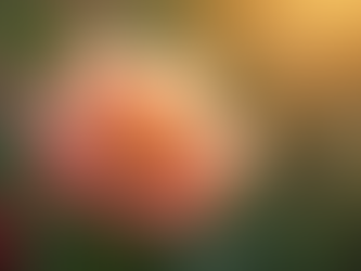 Close-up view of a blooming flower revealing its inner structure