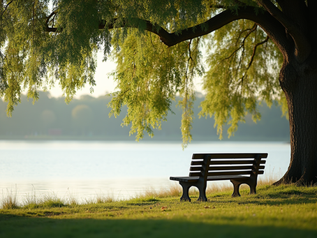 Eye-level view of a peaceful lakeside with a single wooden bench under a large tree