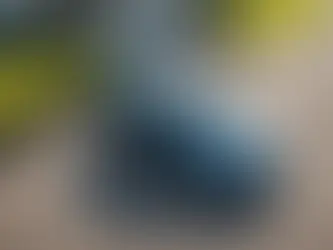 Whoops! Did Someone Say Natural Selection? Uncovering the Unbelievable Stories Behind The Darwin Awards