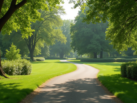 Eye-level view of a serene park path surrounded by trees