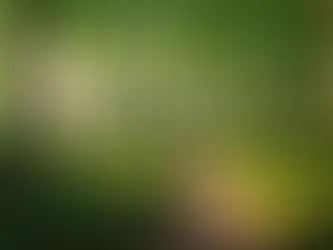 Could Daydreaming about a Bright Future be the Key to Overcoming Low Feelings?