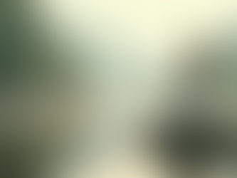 Close-up view of a serene landscape with a winding path