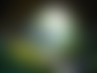 Eye-level view of a rocky cave entrance surrounded by dense foliage