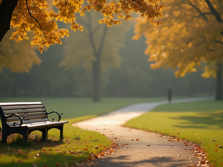 Eye-level view of a single empty park bench under soft sunlight