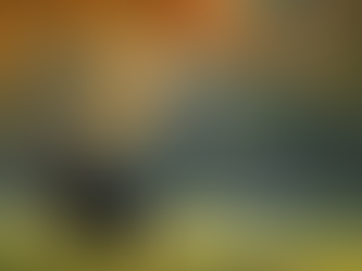 Eye-level view of a single person sitting on a bench in a quiet park, reflecting