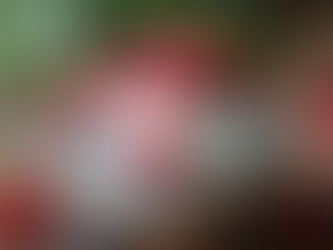 Close-up view of a bowl of plain Greek yogurt with fresh berries