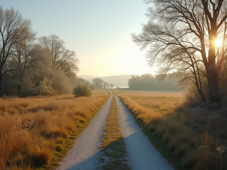 Eye-level view of a serene landscape with a winding path