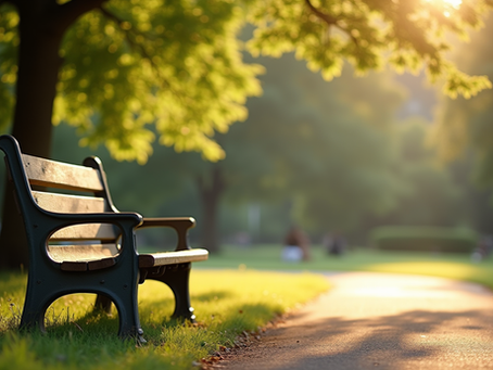 Eye-level view of a calm park bench under soft sunlight