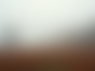 Eye-level view of a misty autumn morning landscape