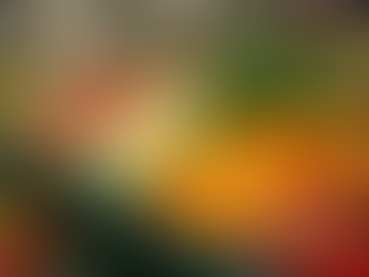 Eye-level view of a colorful array of fresh fruits and vegetables