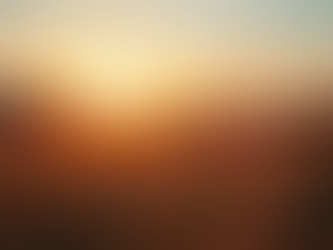 Close-up view of a serene landscape with a calming sunrise