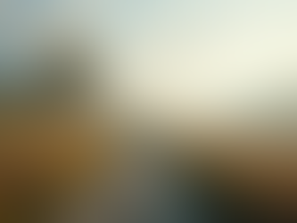 Eye-level view of a serene landscape with a winding path