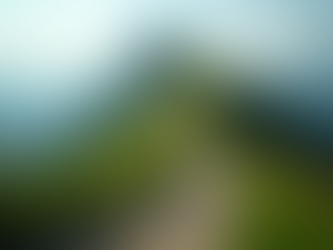 Close-up view of a mountain trail leading to a peak