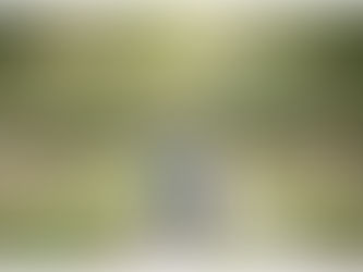 Clarke Family Portraits