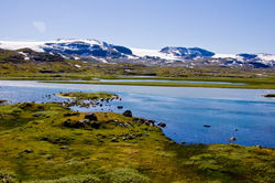 Norway highlands.jpg