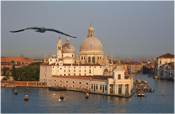 Venice Dawn
