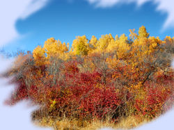 Autumn.jpg
