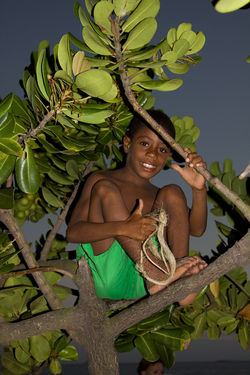 Ipanema Child on Tree.jpg