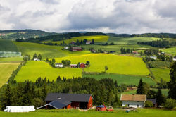 Norway pastoral.jpg