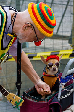 Clown and Dog Barcelona.jpg