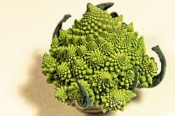 Romanesco or Nature as Virtuoso