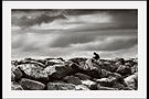 BC0393 On the Rocks Mono 650X420mm.jpg