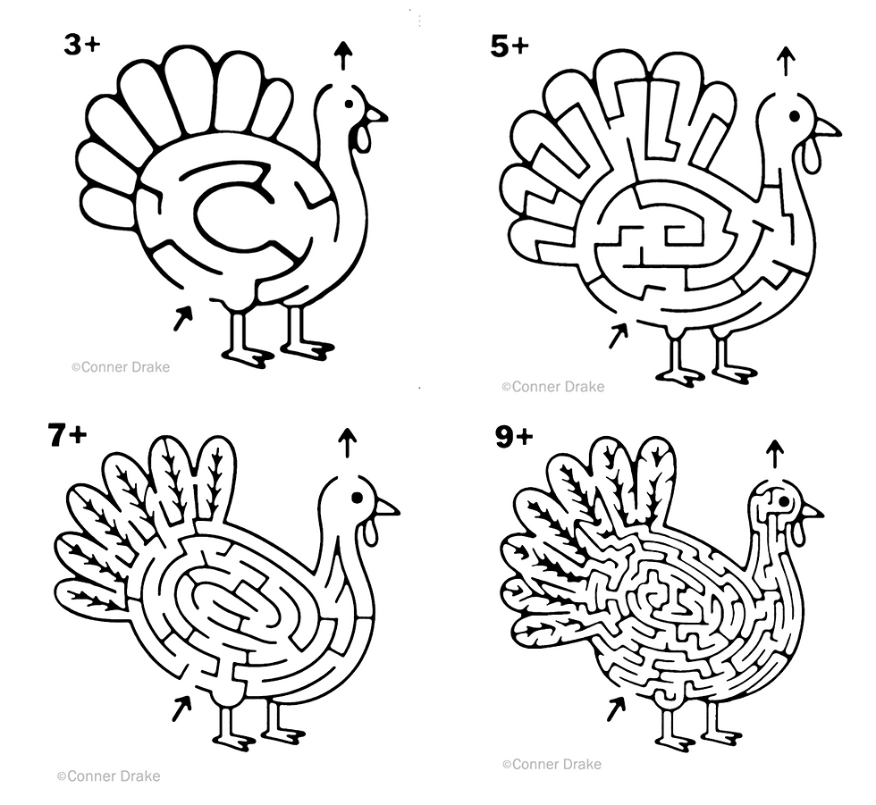 Downloadable/Printable Turkey Mazes for All Ages!