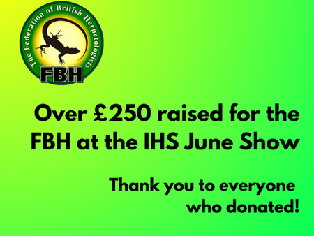 Over £250 raised for the FBH at the IHS June Show